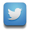 Twitter-Icon.jpg
